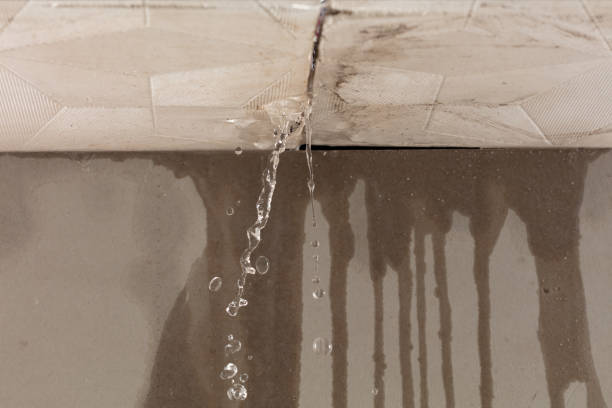 Professional Water Damage Repair technician working in Mooresville, IN